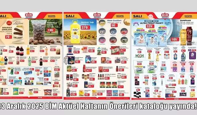 23 Aralık 2025 BİM Aktüel kataloğu yayınlandı: Salı indirimlerinde gıda ve temizlik ürünleri öne çıkıyor