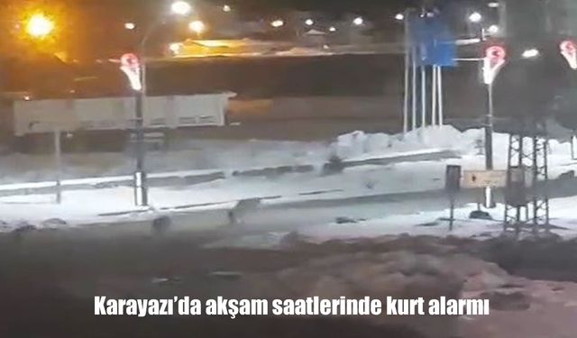 Erzurum Karayazı’da akşam saatlerinde kurt tedirginliği