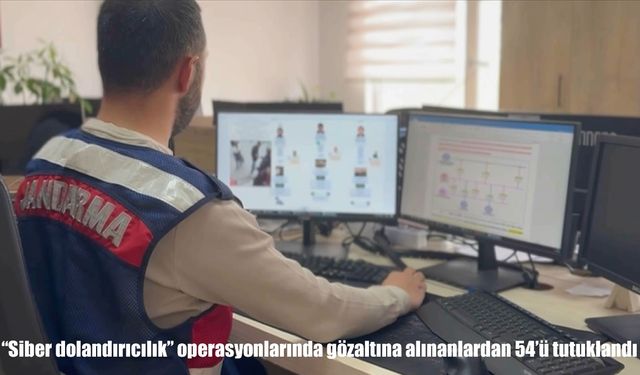 8 ilde siber dolandırıcılık operasyonu: 78 şüpheliden 54'ü tutuklandı