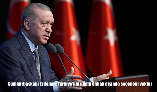 Cumhurbaşkanı Erdoğan: Türkiye'nin güçlü olmak dışında seçeneği yoktur