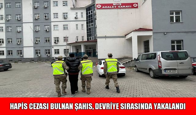 Muş’ta hapis cezasıyla aranan şahıs devriye uygulamasında yakalandı