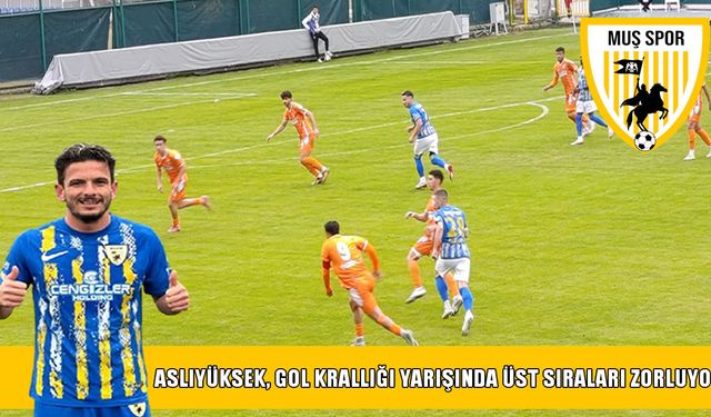 Muşspor'da gol krallığı yarışına Ersel damgası