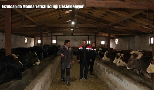 Erzincan’da Manda Yetiştiriciliği Destekleniyor