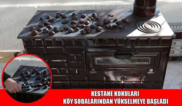Muş köylerinde soba kestaneleri geleneği başladı