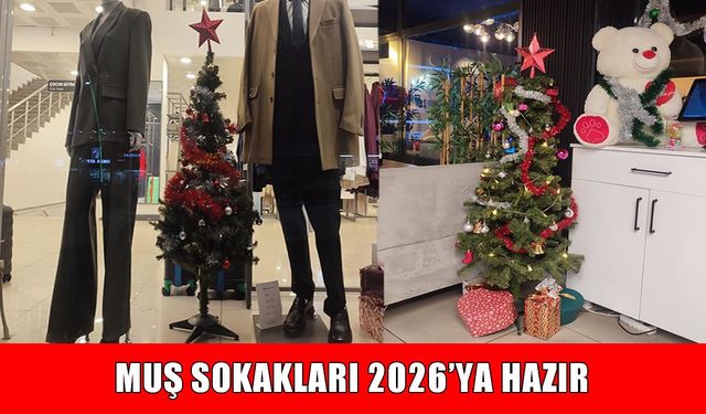Muş’ta 2026 hazırlıkları başladı: Sokaklar yeni yıl temasıyla süslendi