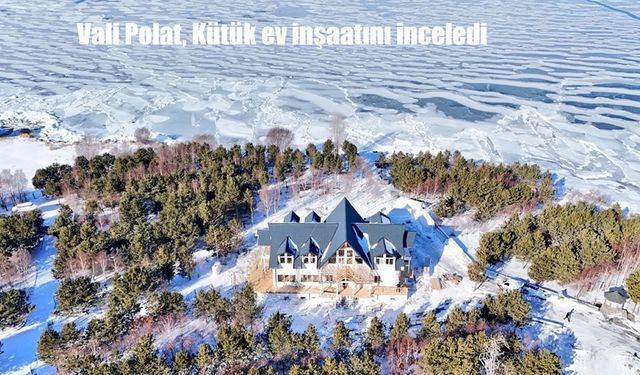 Vali Polat, Kütük ev inşaatını inceledi