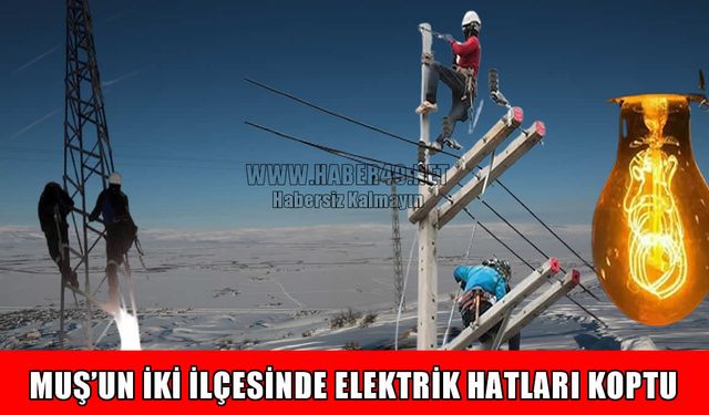 Muş'u fırtına vurdu: 7 köy ve 9 mezra elektriksiz kaldı