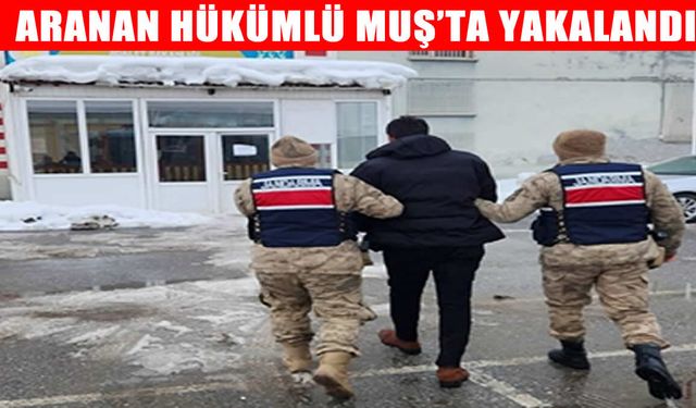 Muş’ta kesinleşmiş hapis cezası bulunan şahıs yakalandı