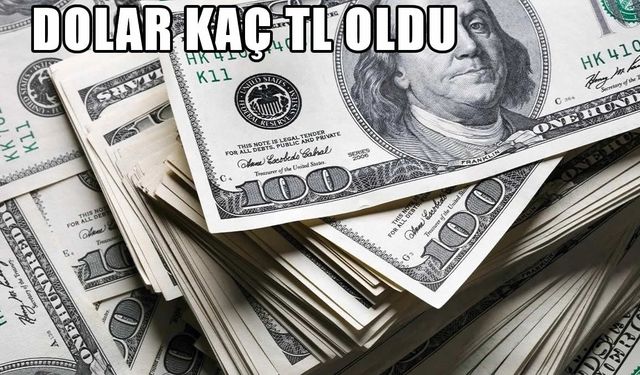 Dolar Kaç TL Oldu, Euro Ne Kadar? 28 Ocak Döviz Kurları