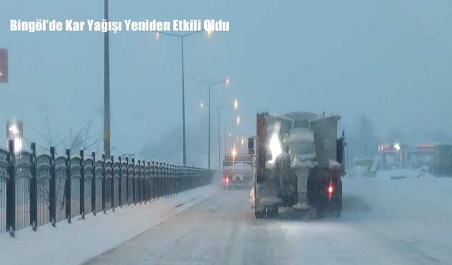 Bingöl’de Kar Yağışı Yeniden Etkili Oldu