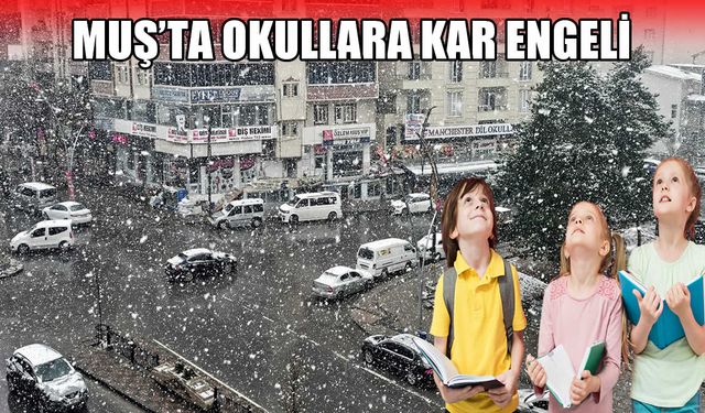 Valilik açıkladı: Muş’ta eğitime kar tatili