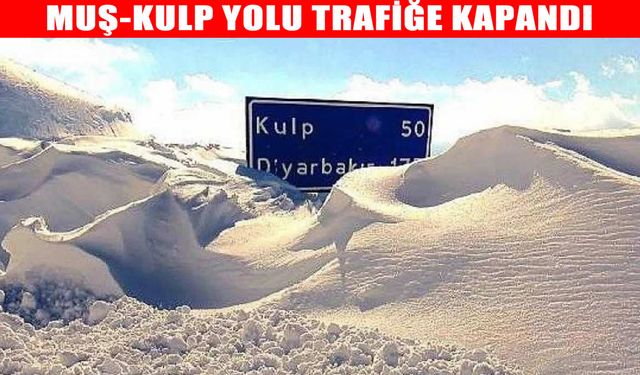 Karayolları 113. Şube Şefliği: Muş-Kulp yolu trafiğe kapatıldı