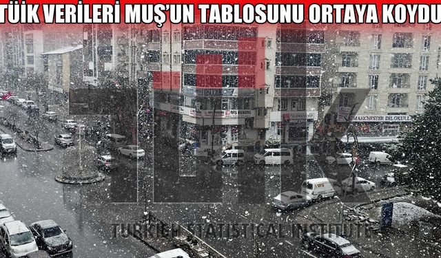 TÜİK açıkladı: Muş’ta nüfus geriliyor, göç artıyor