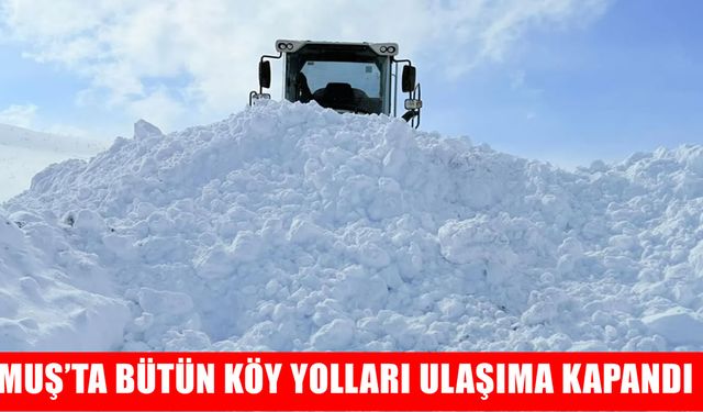 Muş kara teslim: Bütün köy yolları ulaşıma kapandı