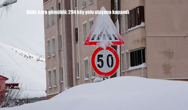 Bitlis kara gömüldü: 294 köy yolu ulaşıma kapandı