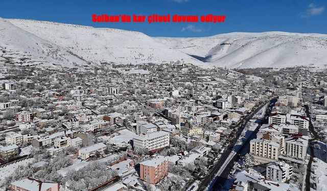 Solhan’da Dondurucu Soğuk ve Kar Hayatı Felç Etti