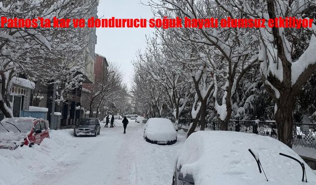 Patnos'ta kar ve dondurucu soğuk hayatı olumsuz etkiliyor