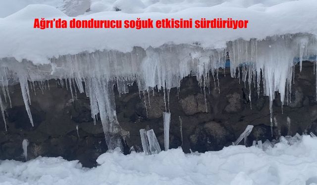 Ağrı'da dondurucu soğuk etkisini sürdürüyor