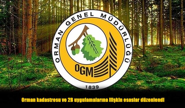 Orman Sınırları Nasıl Belirlenecek? Yeni Yönetmelik Açıklandı