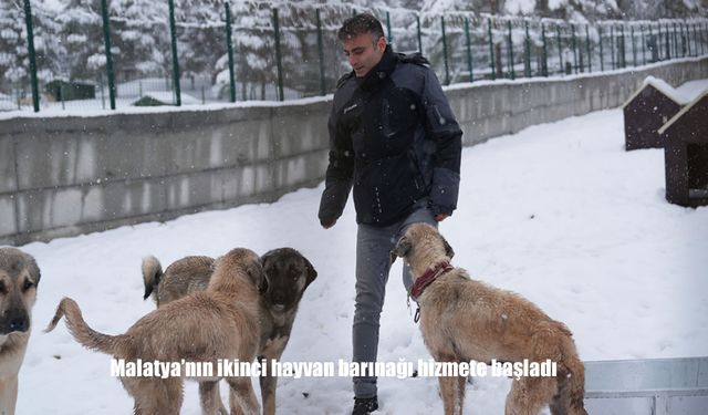 Malatya’nın ikinci hayvan barınağı hizmete başladı