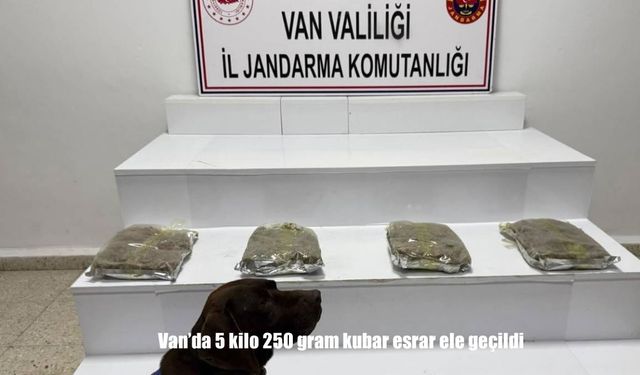 Van'da 5 kilo 250 gram esrar ele geçildi