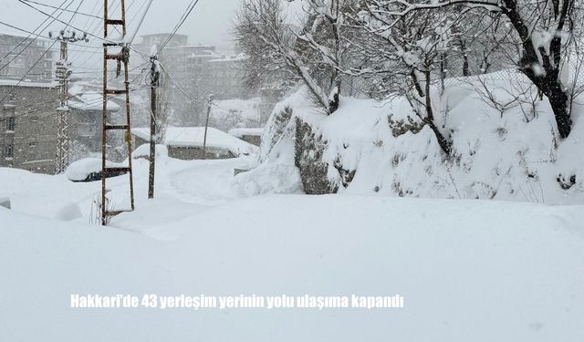 Hakkari’de 43 yerleşim yerinin yolu ulaşıma kapandı