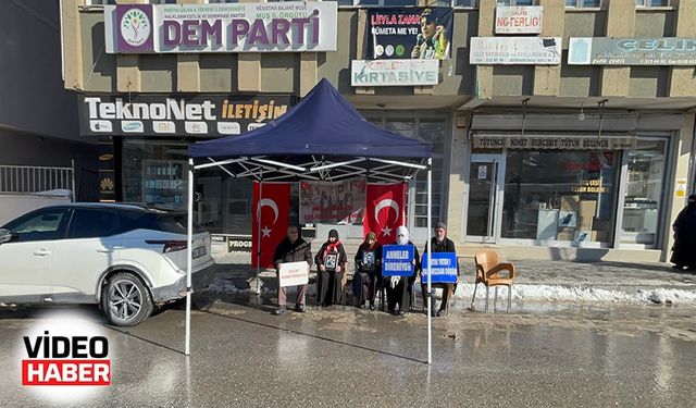 Muşlu ailelerden evlatlarına "teslim ol" çağrısı