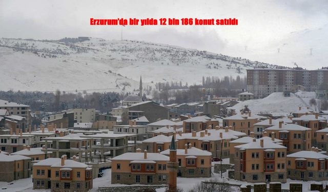 Erzurum’da Yıllık Konut Satışı 12 Bini Aştı