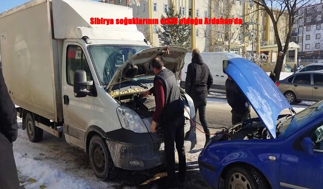 Ardahan’da Sibirya soğukları hayatı durma noktasına getirdi