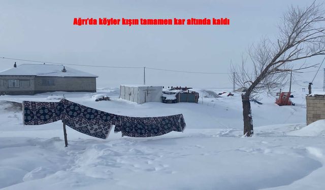 Ağrı’da kış hayatı durma noktasına getirdi