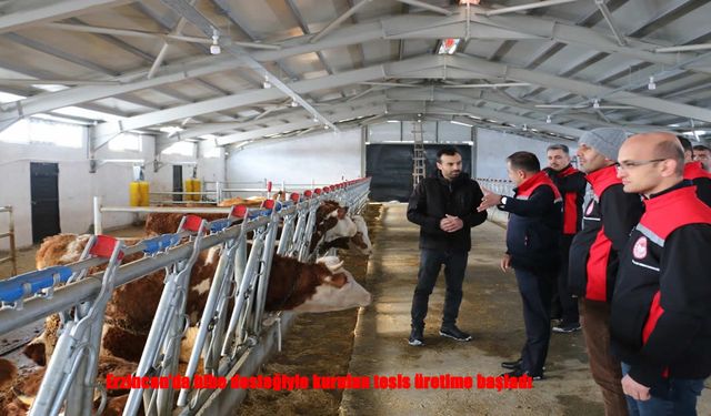 Hibe Destekli Tesisle Erzincan’da Hayvancılıkta Yeni Dönem