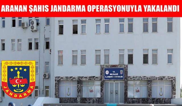 Varto’da aranan hükümlü jandarma operasyonuyla yakalandı