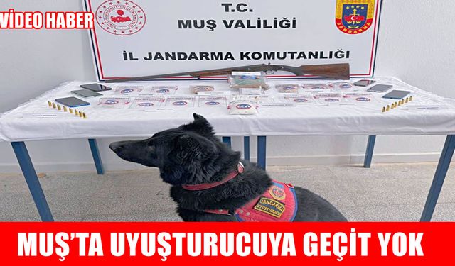 Muş'ta 6 adrese eş zamanlı uyuşturucu operasyonu: 5 kişi tutuklandı