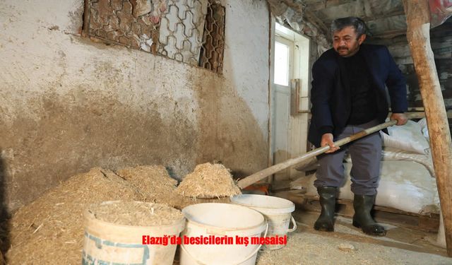 Dondurucu Soğukta Alın Teri: Elazığlı Besicilerin Zorlu Kış Mesaisi
