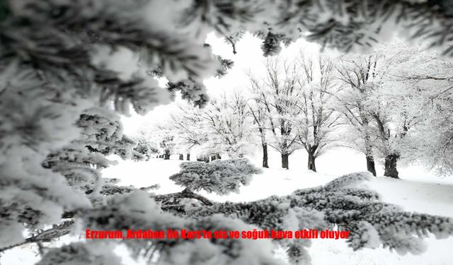 Doğu’da kış sert yüzünü gösterdi