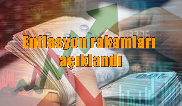 Aralık ayı enflasyon rakamları açıklandı