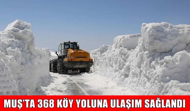 Muş’ta tüm köy yolları ulaşıma açıldı
