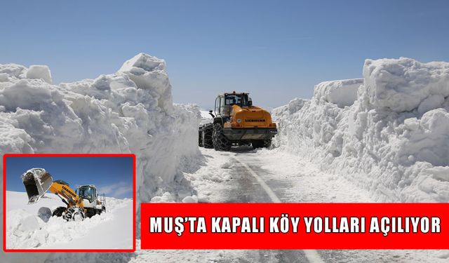 Muş’ta kapanan 368 köy yolunun 215'i ulaşıma açıldı