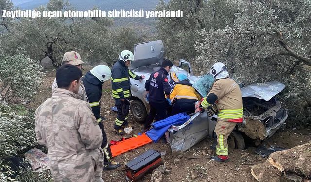 Hatay’da direksiyon hakimiyetini kaybeden otomobil zeytinliğe uçtu: 1 yaralı