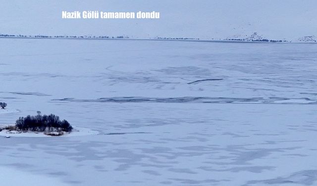 Bitlis Nazik Gölü tamamen dondu
