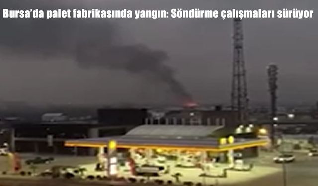 Bursa’da palet fabrikasında yangın: Söndürme çalışmaları sürüyor