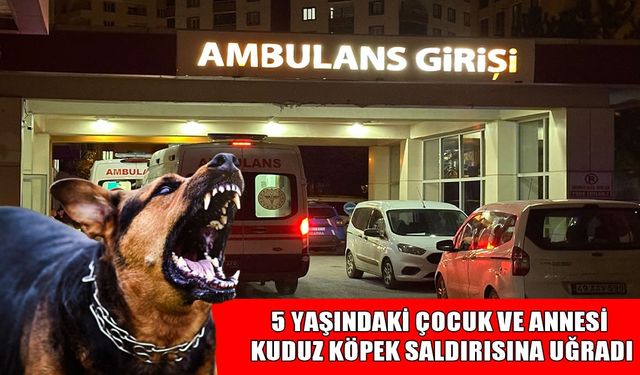 Muş’ta sokak köpeği dehşeti: Anne ve oğlu yaralandı