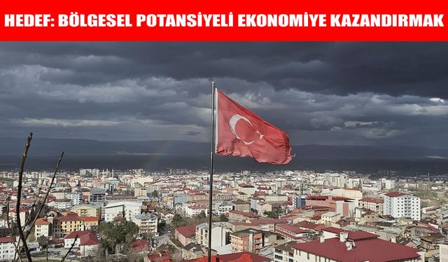 Yerel Kalkınma Hamlesi’nde Muş için öncelikli yatırım alanları açıklandı