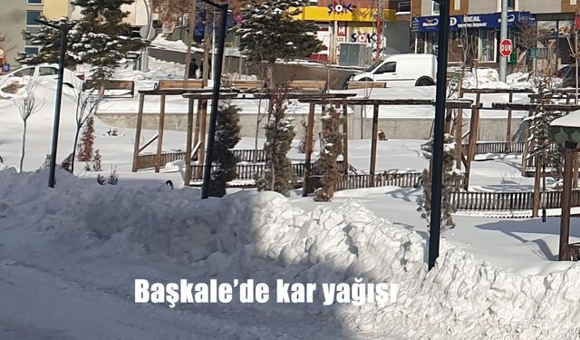 Başkale'de kar yağışı