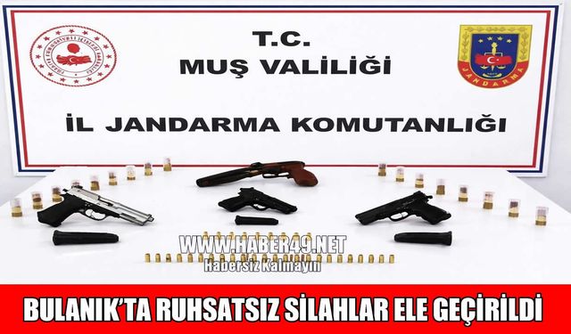 Bulanık’ta silah kaçakçılığı operasyonu: 1 gözaltı