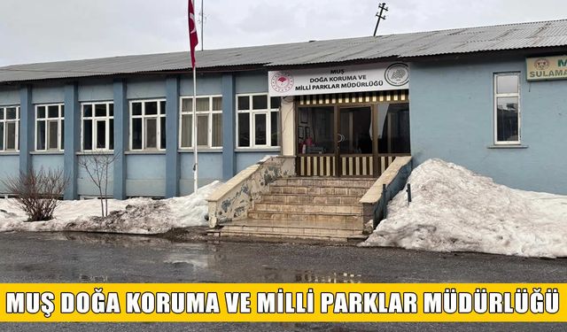 AĞAÇLANDIRMA HİZMETLERİ ALINACAKTIR