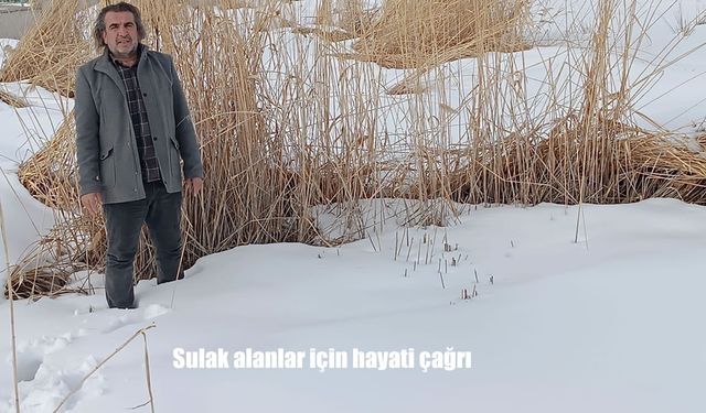 Sulak alanlar için hayati çağrı