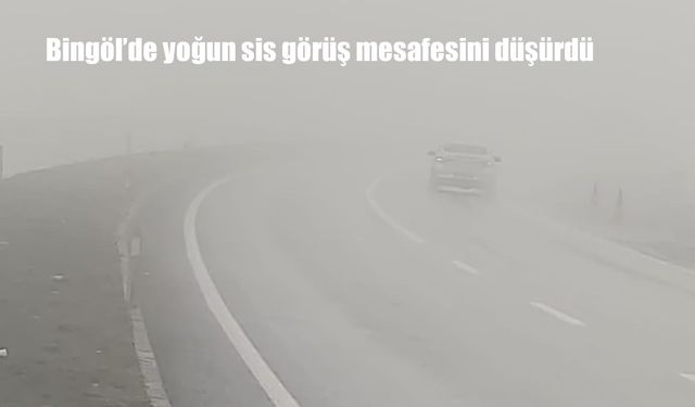 Bingöl'de yoğun sis görüş mesafesini düşürdü