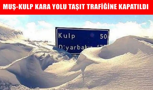 Yola çıkacaklar dikkat: Muş-Kulp yolu trafiğe kapatıldı!