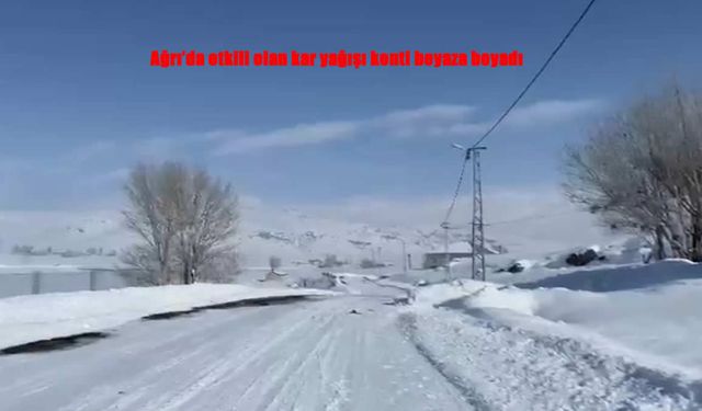 Ağrı Beyaza Büründü: Kar Yağışı Hayatı Etkiledi